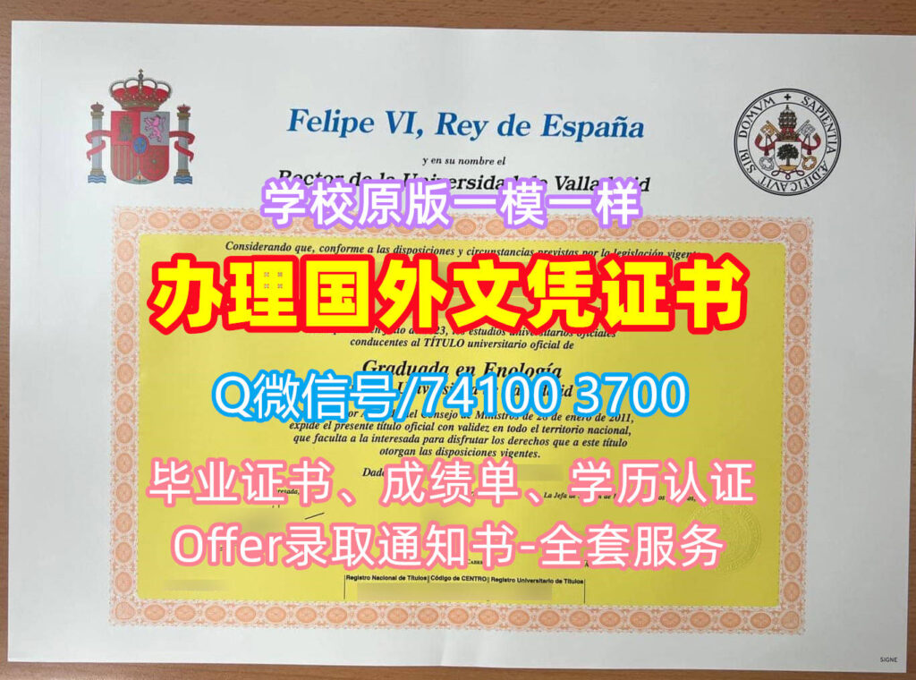 巴利亚多利德大学毕业证书, Universidad de Valladolid Diploma, UVa Degree Certificate